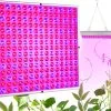 225 LED UV panel for plant growth 36W