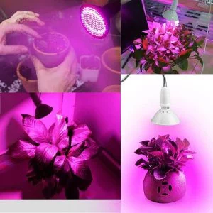 200 LED UV lamp for plant growth 10W