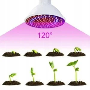 200 LED UV lamp for plant growth 10W