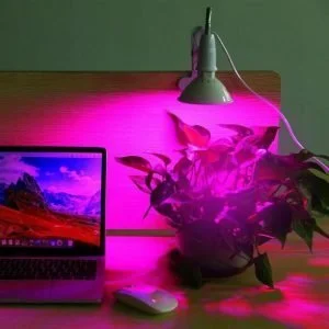 200 LED UV lamp for plant growth 10W
