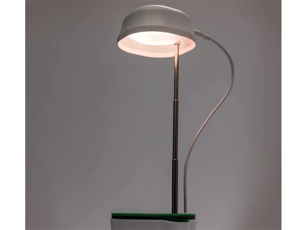 a lamp with a wire