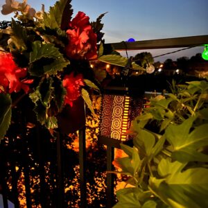 Solarna viseča vrtna svetilka laterna IP44 imitacija plamena 15cm 17 a plant on a railing