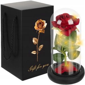 LEDsvet.si 15 Dekorativna XL toplo bela LED vrtnica v steklenem kozarcu 21cm